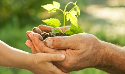 Donor Advised Fund